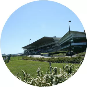 Carmanhall and Leopardstown