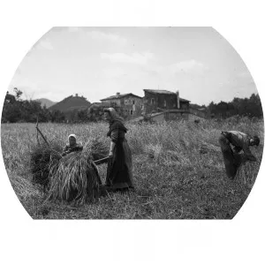 Carme Gotarde i Camps