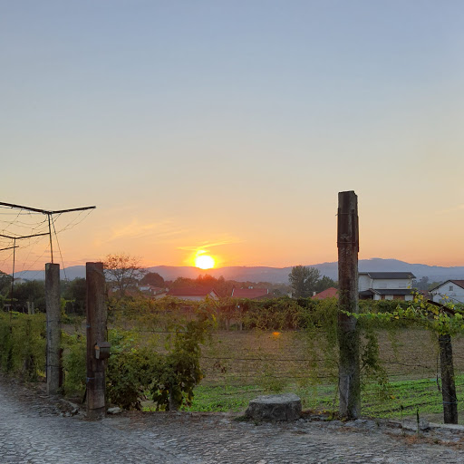 Carmo III  - Bus stop in Portugal