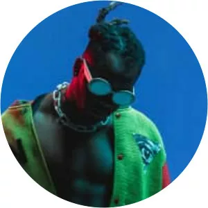 Carmouflage Rose - Musician