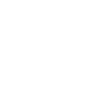 Carnal Disfigurement - Musical group