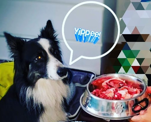 Carniceria Arca Charcuteria