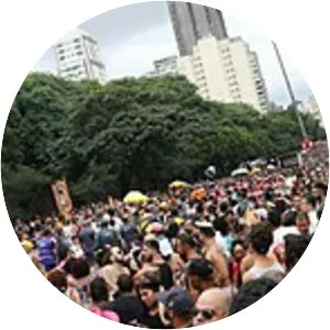 Carnival in Sao Paulo - Brazilian festival