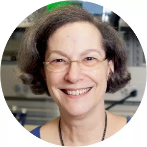 Carol Shoshkes Reiss - Researcher