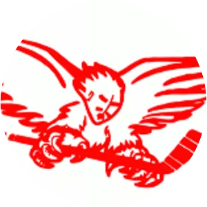 Carolina Thunderbirds - Ice hockey team