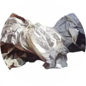 Caroline ChariotDayez