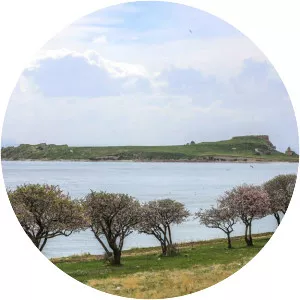 Çarpanak Island - Island in Turkey