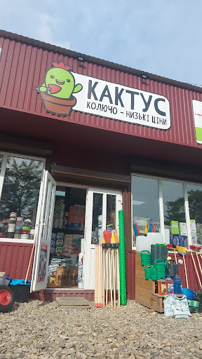 Carpathians - Variety store in Verkhovyna, Ukraine