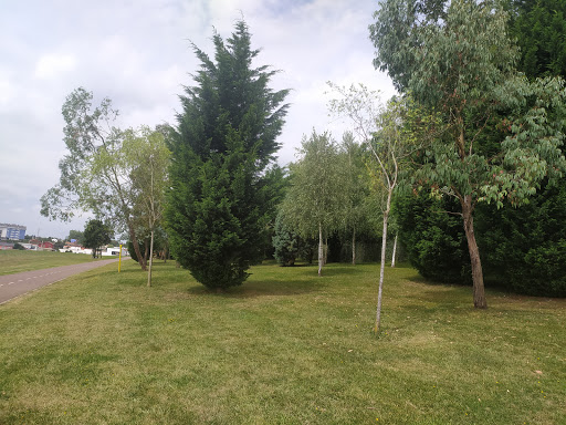 Carril Bici - Nuevo Roces - Hiking area in Spain