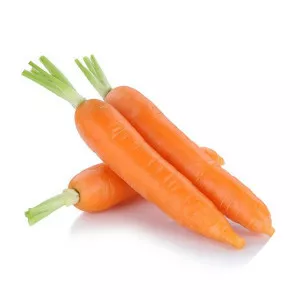 Carrot