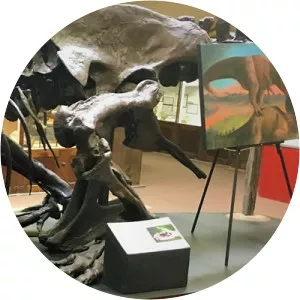 Carter County Museum