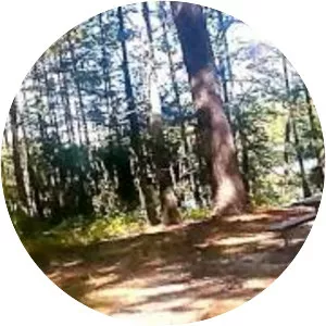 Carvers Creek State Park