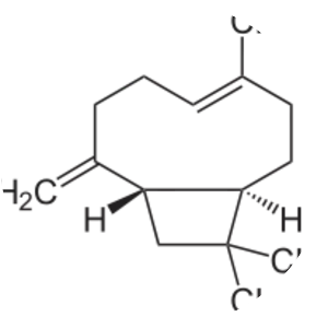 Caryophyllene - Chemical compound
