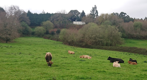 Casa das Curuxas photograph