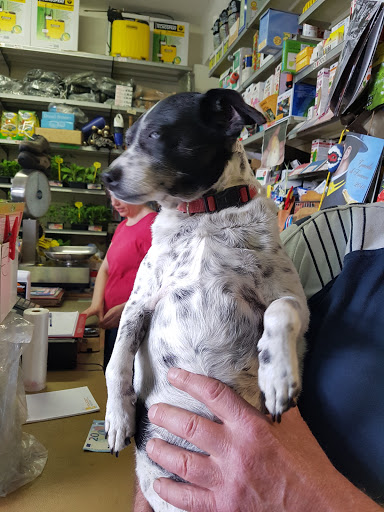 Casarino Di Pappalardo Antonella - Irrigation equipment supplier