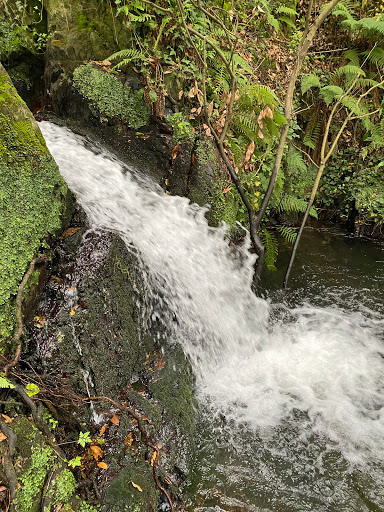 Cascada Arroyo Friera  - 4.8      Reviews aren't verified by Google, but Google checks for and removes fake content when it's identified.  (8 ) ‧  Park in Cadaveu, Spain  ‧  Open