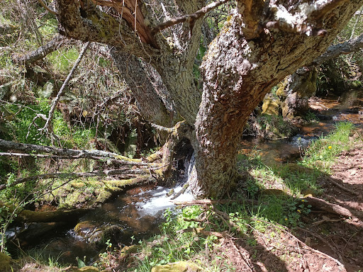 Cascadas de Buiza - Hiking area in Spain