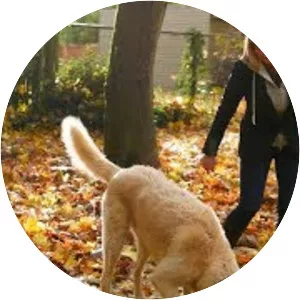 Cascade Sotheby's International Realty