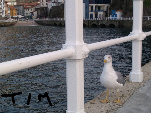 Casetas de Cudillero