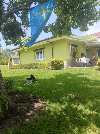 Casina verde manzana - 