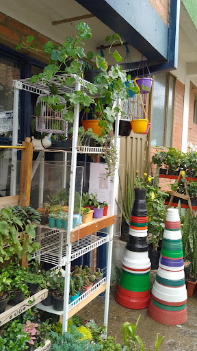 Casita de matas - Plant nursery in A Coruna, Spain