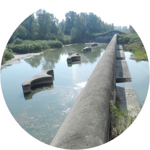 Cassa di espansione del Fiume Secchia - 