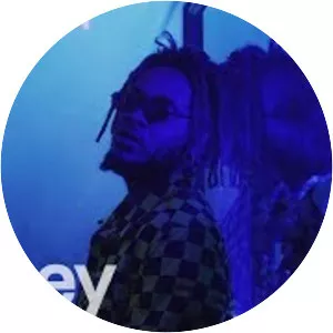 Cassow - Musical artist