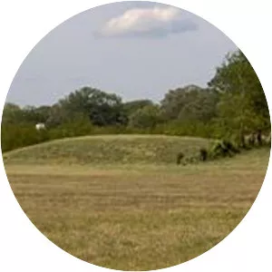 Castalian Springs Mound Site