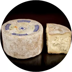 Castelmagno cheese - 