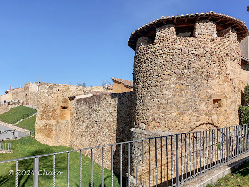 Castillo de Almanza