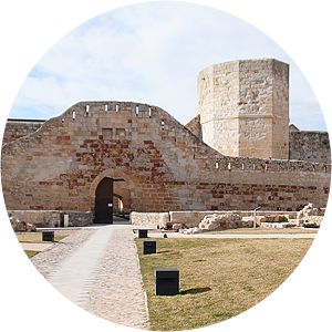 Castle of Zamora