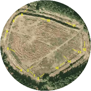 Castle Ring - Hill fort in England