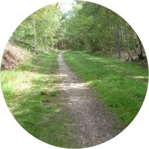Castleman Trailway - 