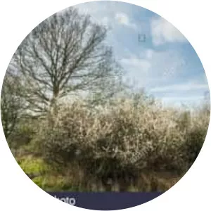 Castor Hanglands National Nature Reserve - 