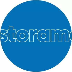 Castorama - Retail company