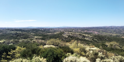 Castro de Vilanova - Open air museum in Portugal