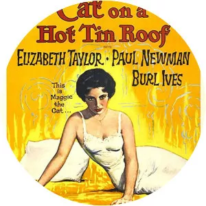 Cat on a Hot Tin Roof photograph