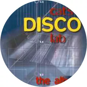 Cat's Disco Lab - Musical artist