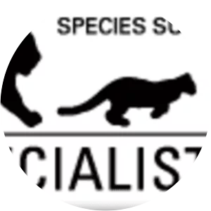 Cat Specialist Group