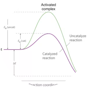 Catalysis