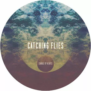 Catching Flies - Musician