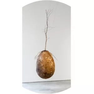 Cate Rimmer - Author