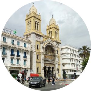 Cathedral of St Vincent de Paul