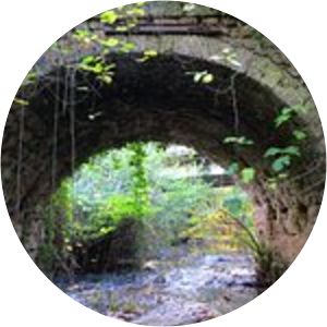 cathedral ponte nepesino