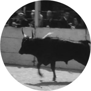 Catherine Varlin - Reporter