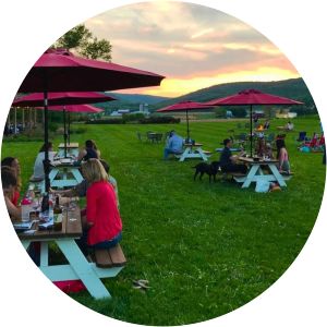 Catoctin Breeze Vineyard