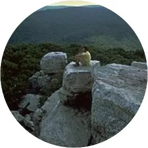 Catoctin Mountain - Ridge in Maryland