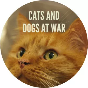 Cats And Dogs At WarSince 2021