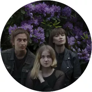 Cats of Transnistria - Musical group