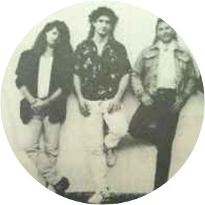 Cats on a Smooth Surface